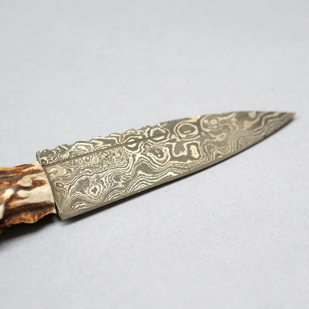 Hand made Sgian Dubh with Scottish Stag Horn Handle & Damascus Blade - Image 5