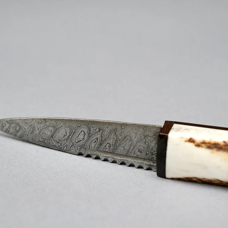 Sgian Dubh with Stag Horn & Blackwood Handle and Damascus Blade - Image 3