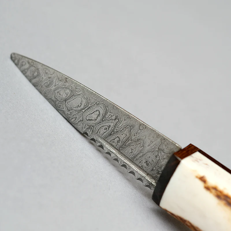 Sgian Dubh with Stag Horn & Blackwood Handle and Damascus Blade - Image 8