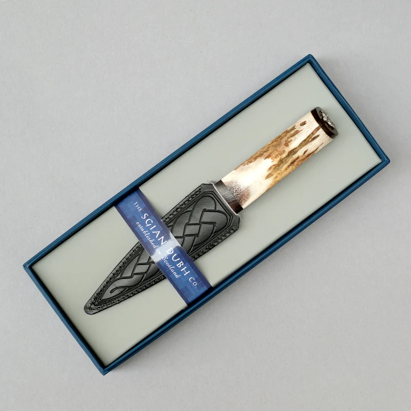 Sgian Dubh with Stag horn Handle finished with Stag head mount - Image 4